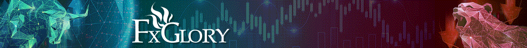 1702534302010.gif