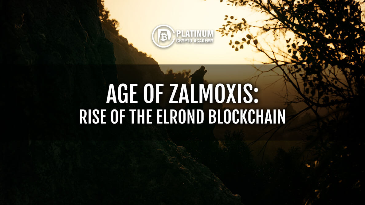AGE-OF-ZALMOXIS-RISE-OF-THE-ELROND-BLOCKCHAIN-1.jpg