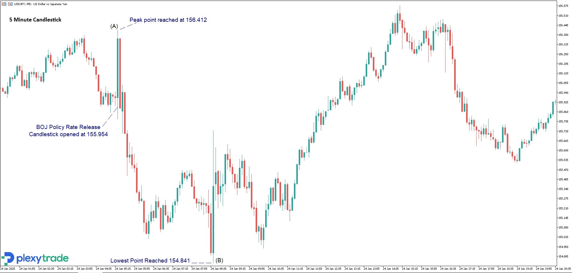 BOJ USDJPY.jpg