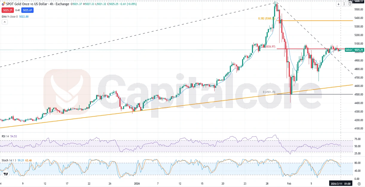Gold-Fundamental-and-Technical-Forecast-02.11.2026.webp