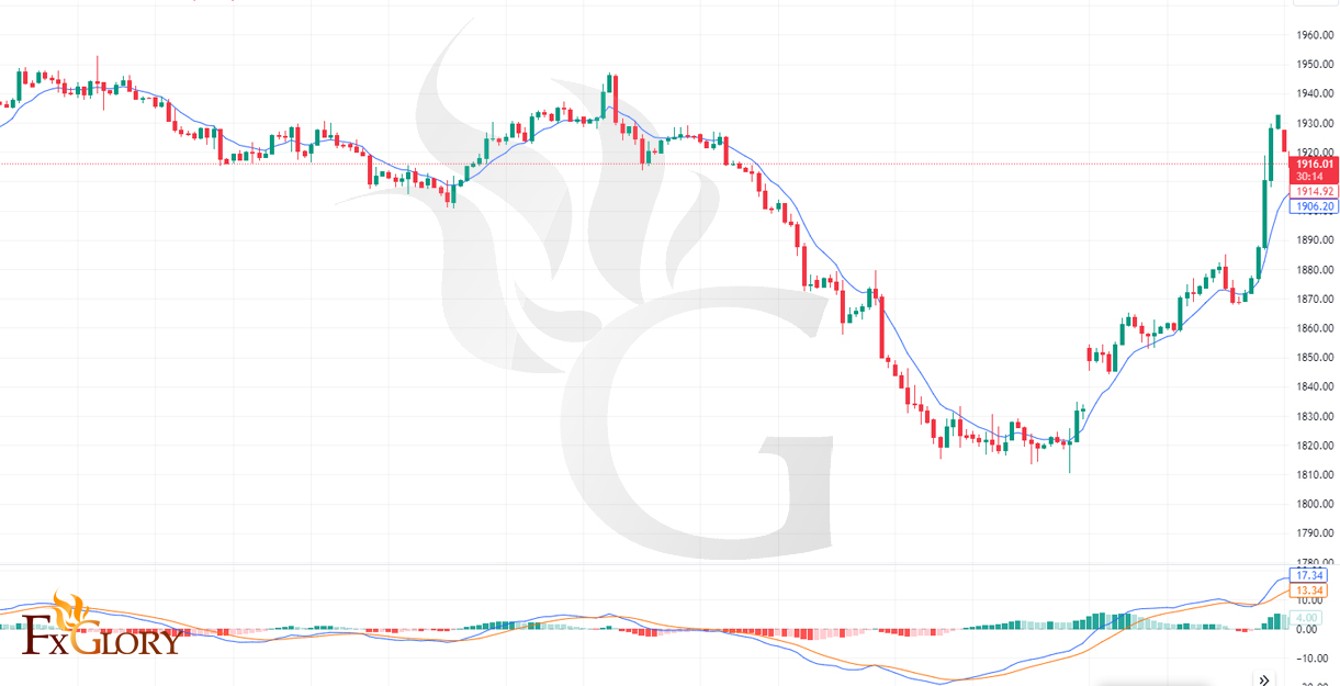 gold-FX-10.17.jpg