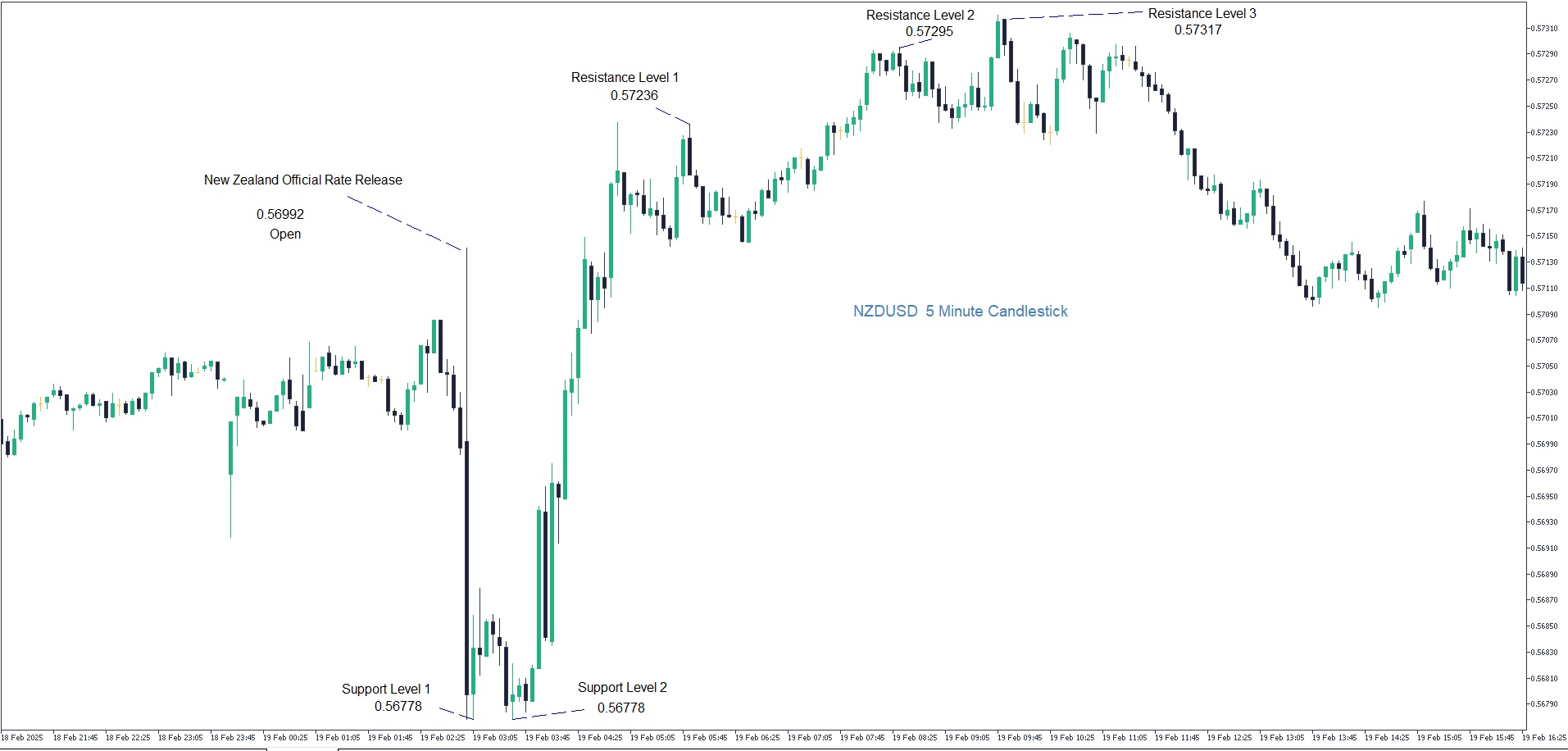 NZDUSD February 19th.jpg