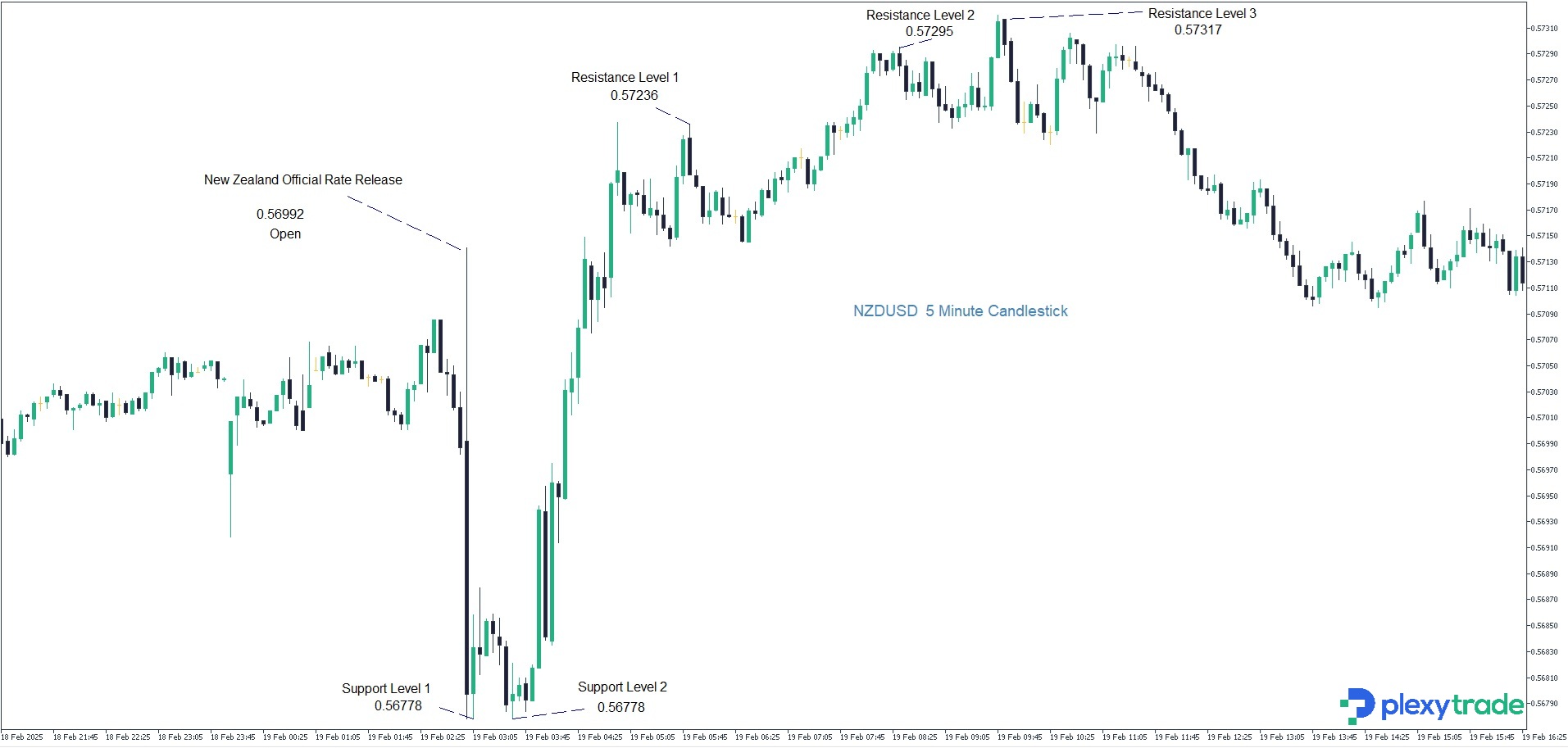 NZDUSD February 19th.jpg