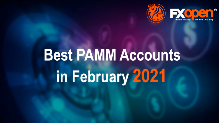 pamm-review-february-2021.jpg