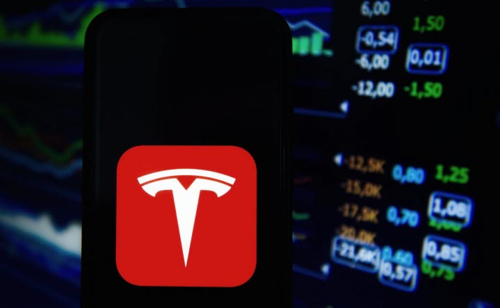 Tesla-crop2-8.jpg