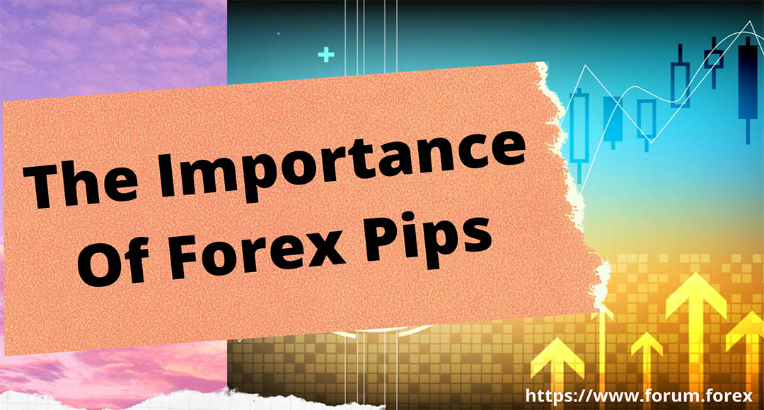 The Inportance of pips in forex trading