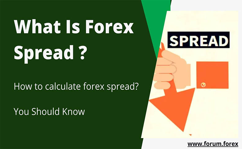 www.forum.forex