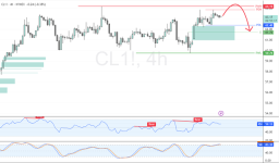CL1-2025-06-04-10-14-43-ff291.png