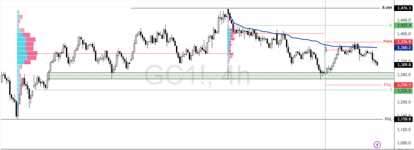 GC1-2025-07-07-13-59-12-6e4cf.png