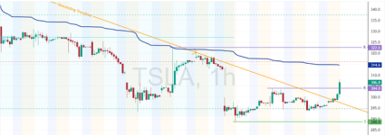 TSLA-2025-07-10-16-45-17-6f15f.png