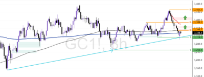 GC1-2025-07-28-12-11-30-454dc.png