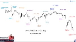 BTCUSD Price Reaction.jpg