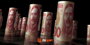 nzd.jpg