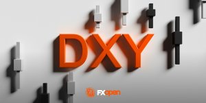 dxy.jpg