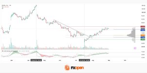 nflx.jpg